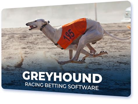 greyhound racing betting software